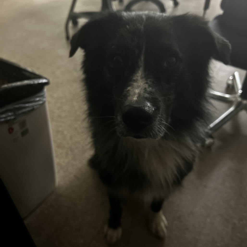 Tyson