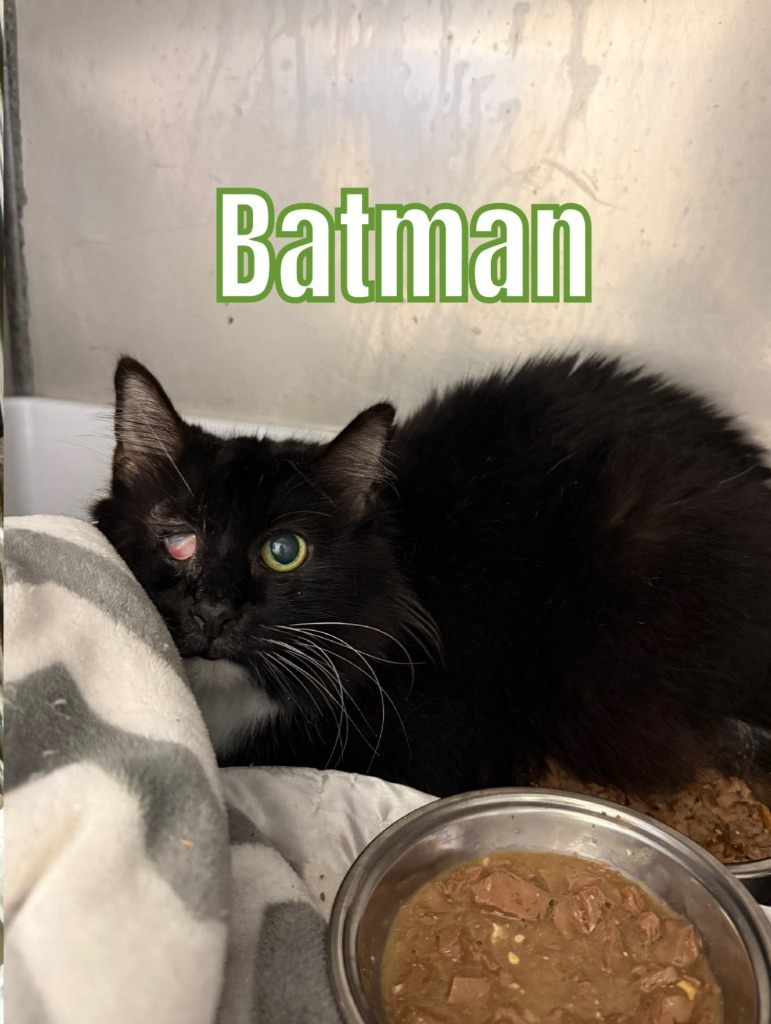 Batman