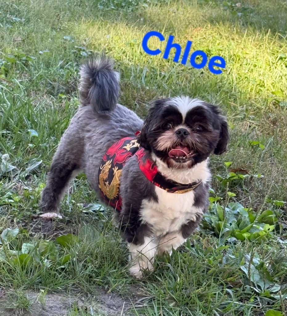 Chloe