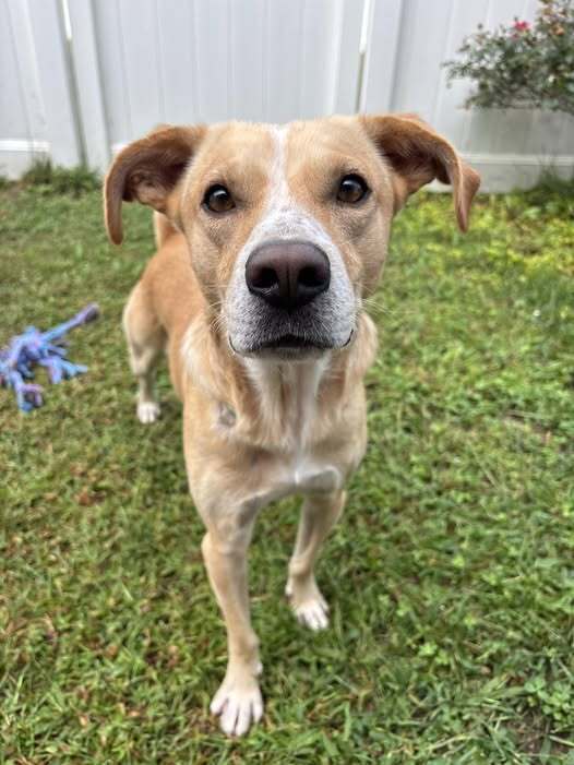 Charlie Barkin photo 1