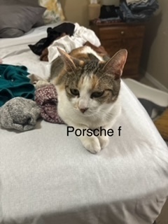Porche