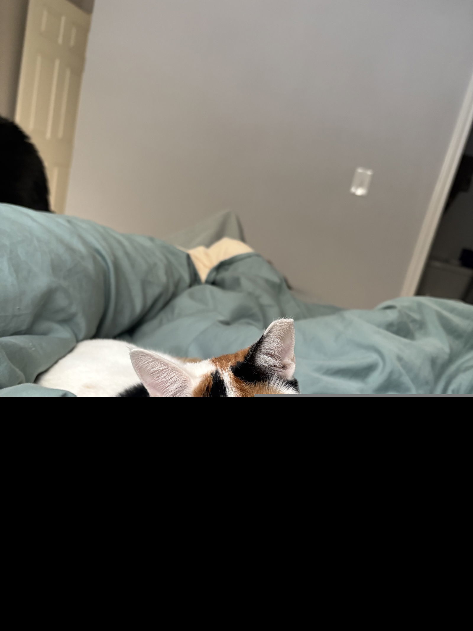 Tricolore (New Digs)