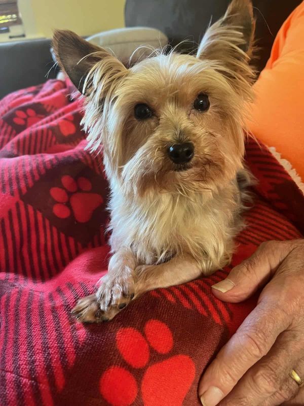 Frankie  No Longer photo 1