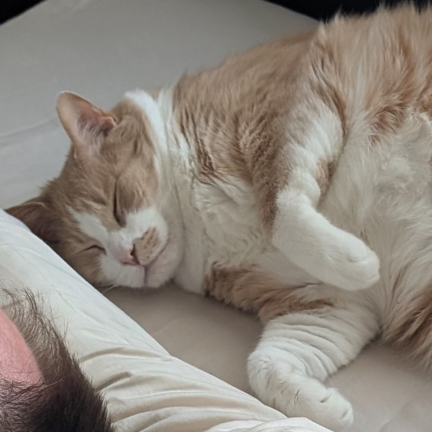 Pumpkin (Pie with Cinnamon Whipped Cream)