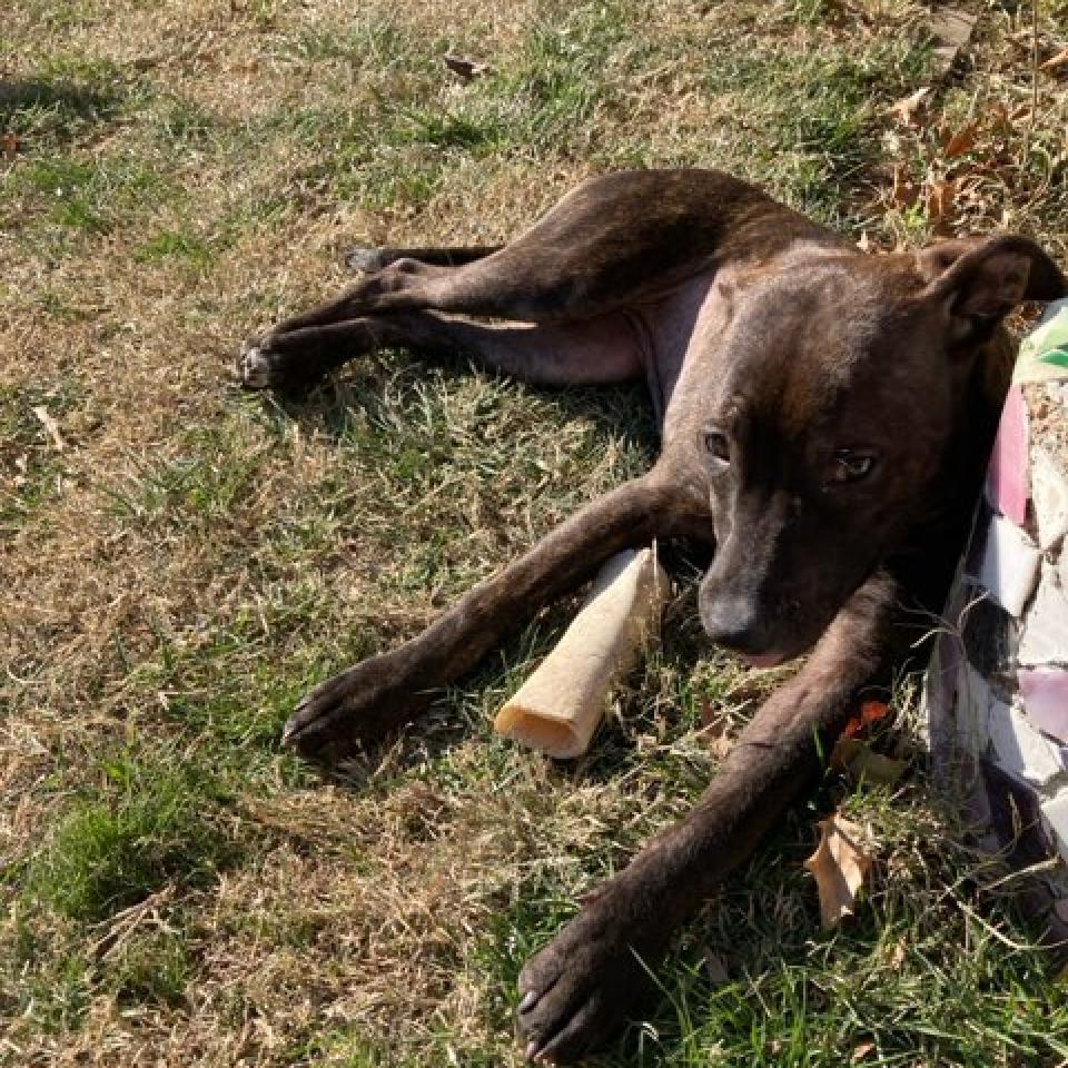 Mirabelle (September Promo)