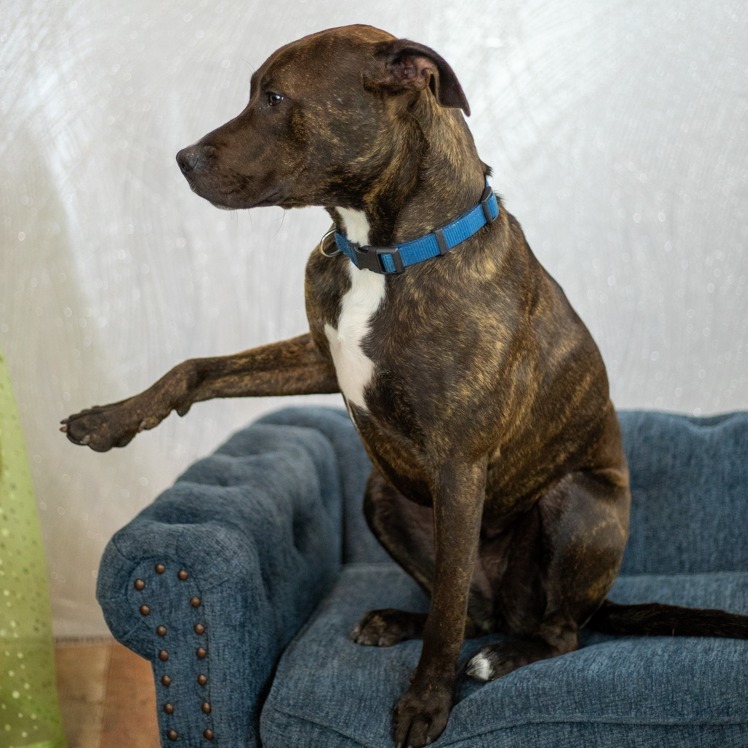 Mirabelle (September Promo)