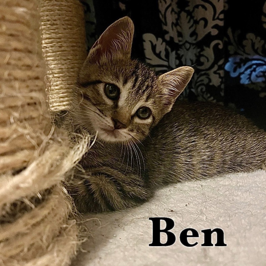 Ben