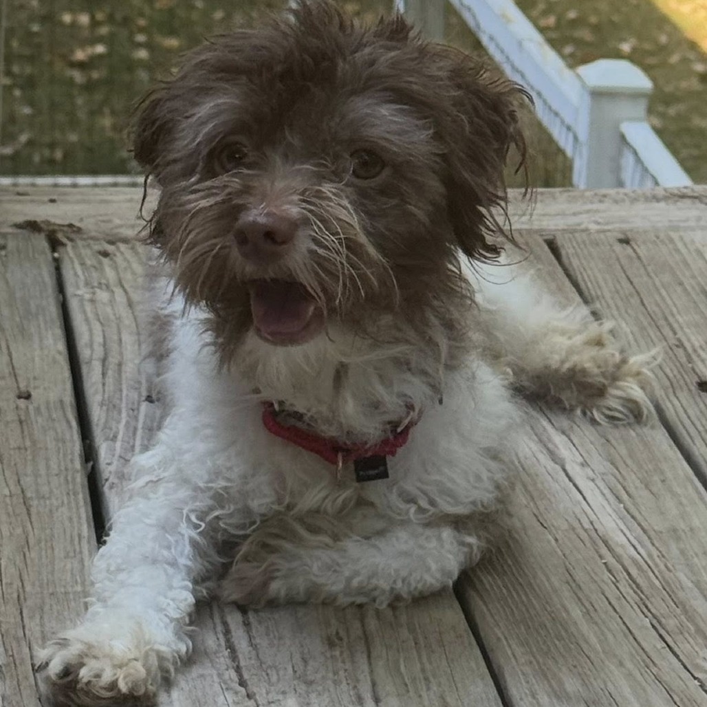 Philbert