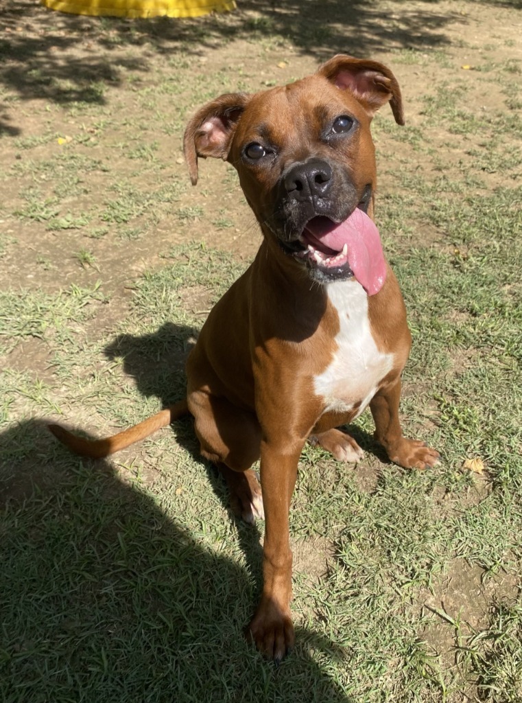 Rosie(Mia)