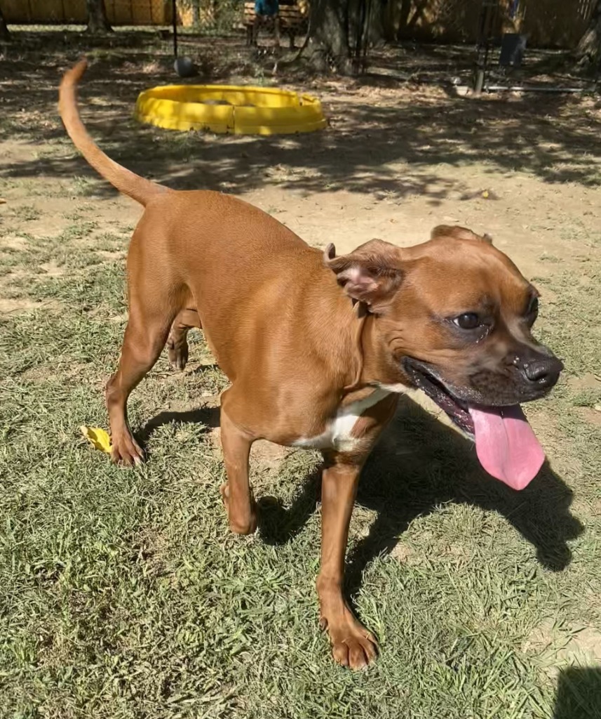 Rosie(Mia)
