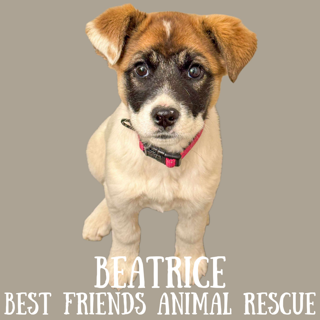 Beatrice