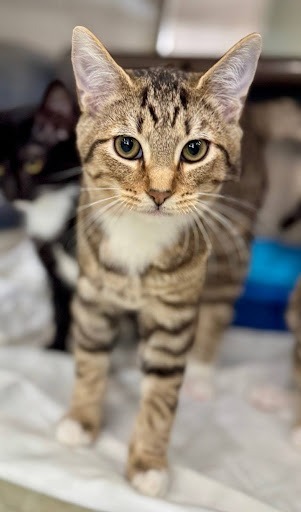 Leroy