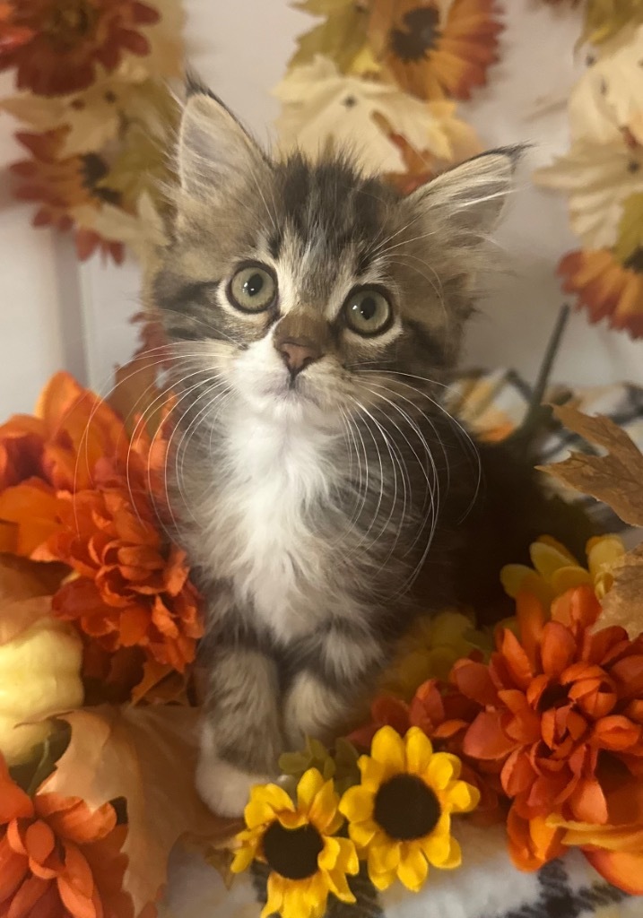 (TB) 8/22/26 - Miss Molly