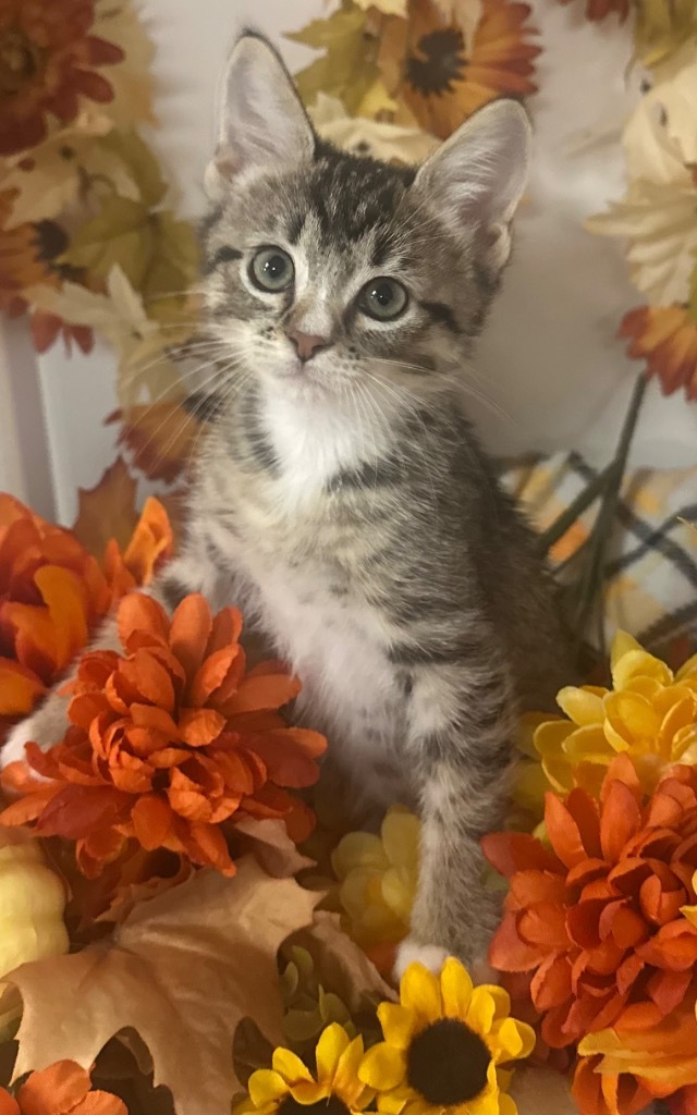 (TB) 8/22/26 - Miss Makayla