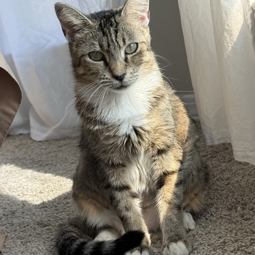 Precious