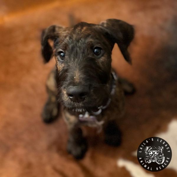 Baby Rob thumbnail 2