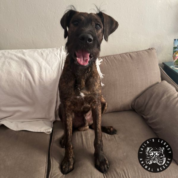 Baby Rob thumbnail 6