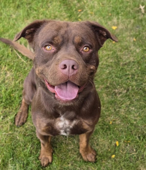 Willy Wonka thumbnail 2