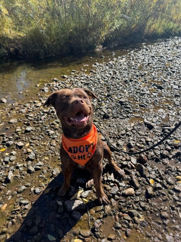 Willy Wonka thumbnail 3