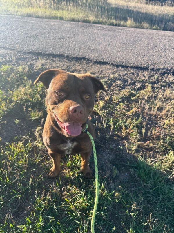 Willy Wonka thumbnail 4