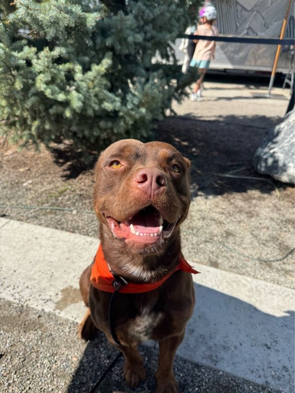 Willy Wonka thumbnail 5