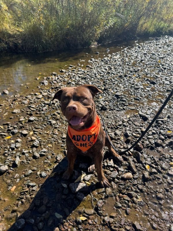 Willy Wonka thumbnail 6