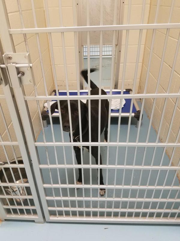 Peaches F.K.A Candace