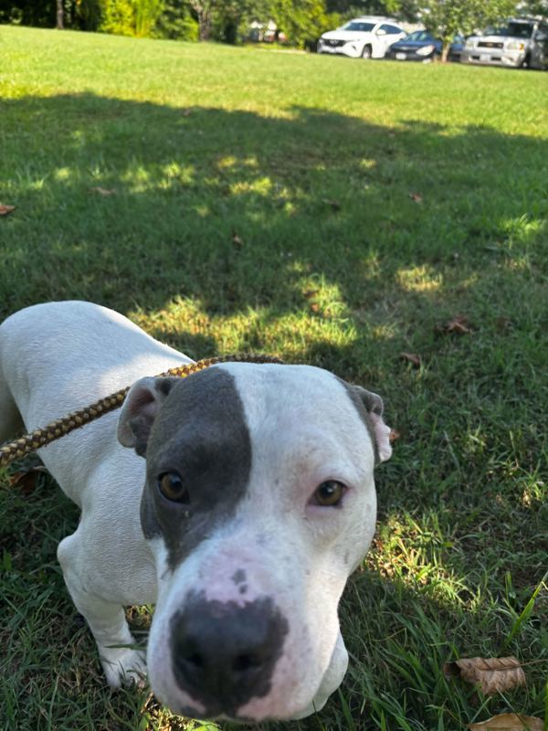 Susquehanna Fka Nova