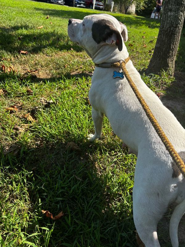 Susquehanna Fka Nova