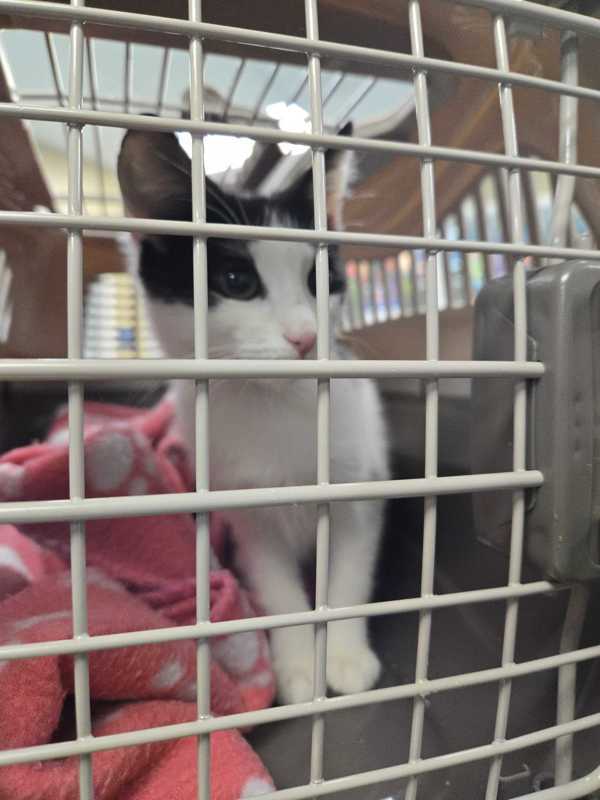 National Weather Service Alert