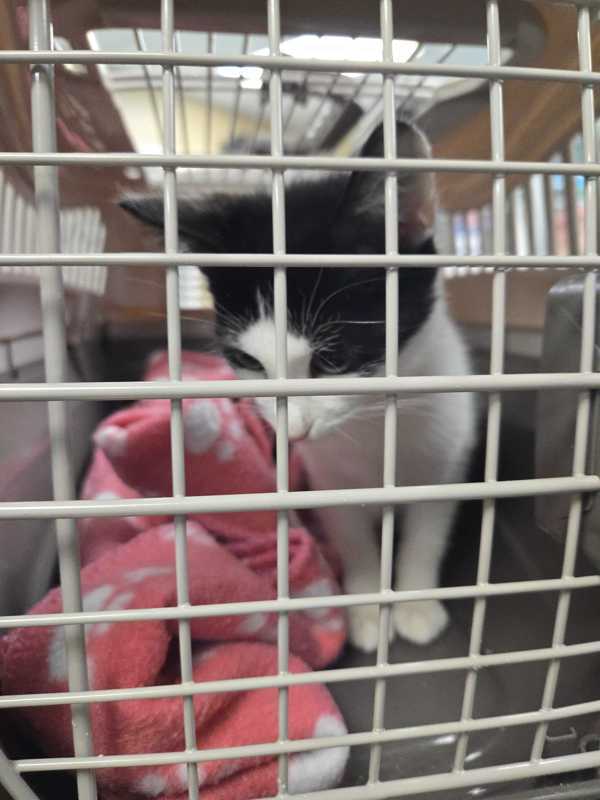 National Weather Service Alert