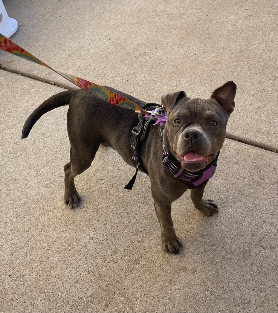 Delilah