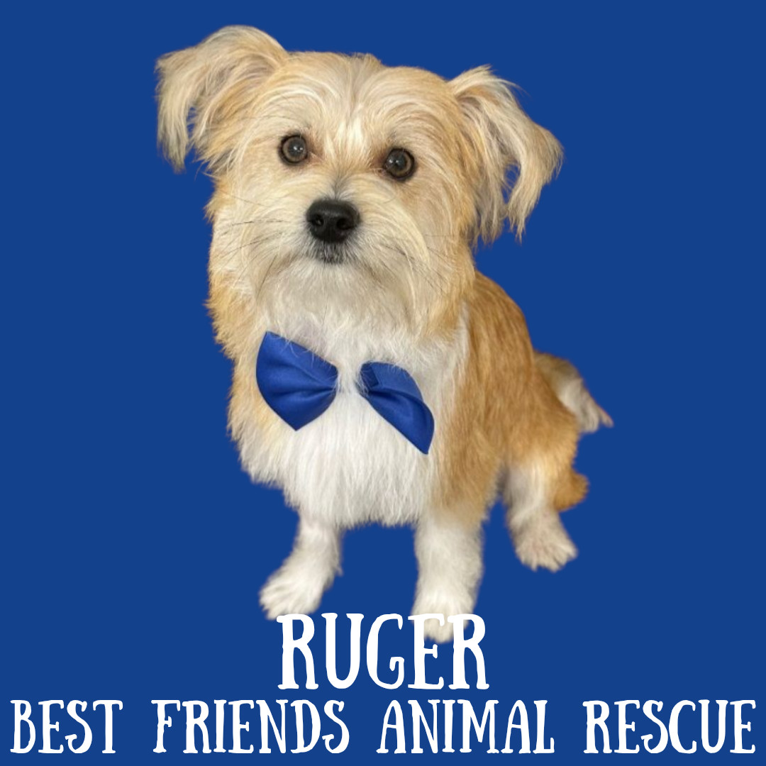 Ruger