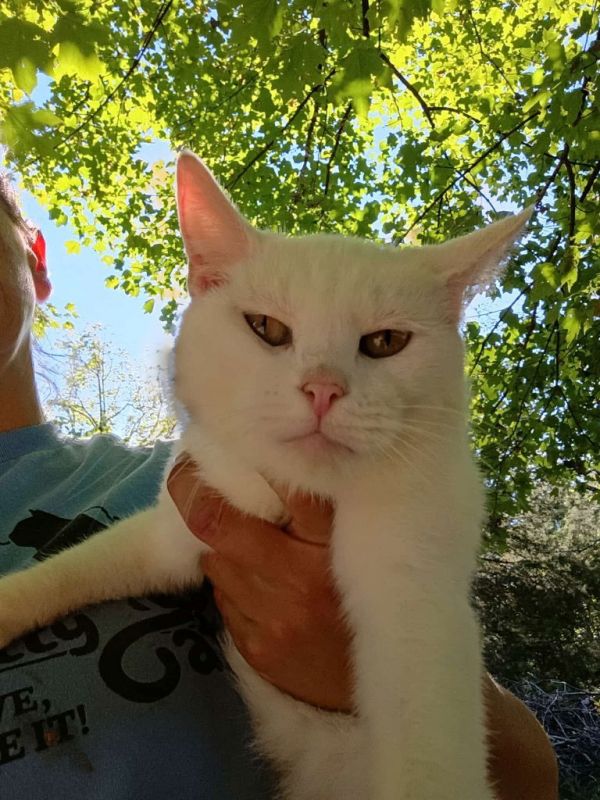 Victoria thumbnail 2