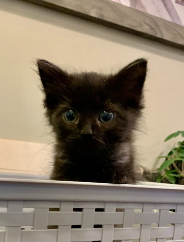 Wednesday thumbnail 2