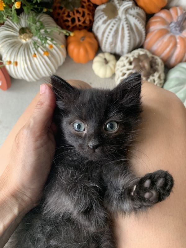 Wednesday thumbnail 3