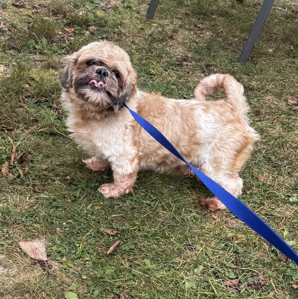 Falcor