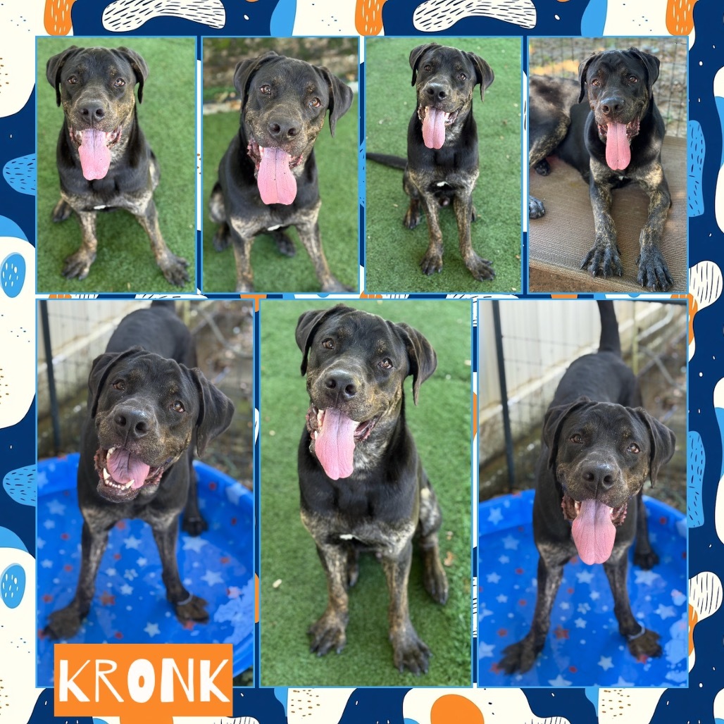 Kronk