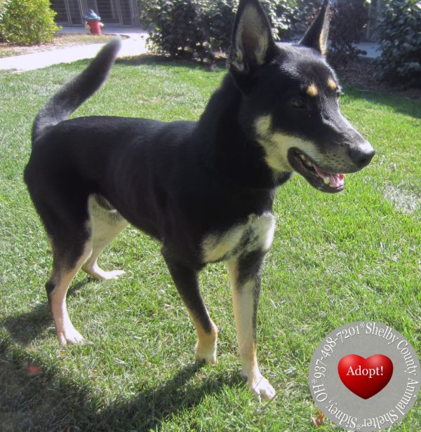 Bandit Yrly thumbnail 4