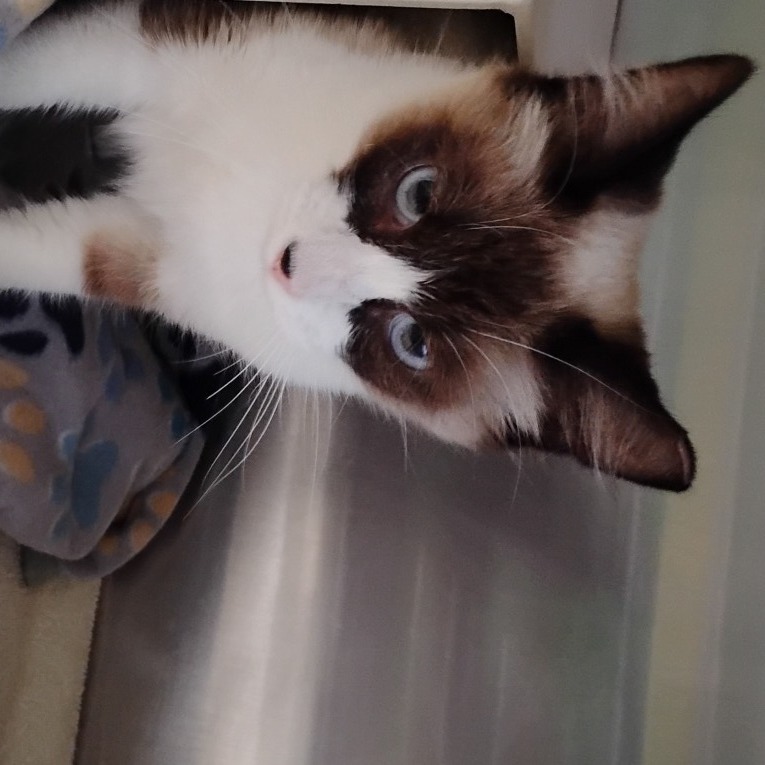 Margot