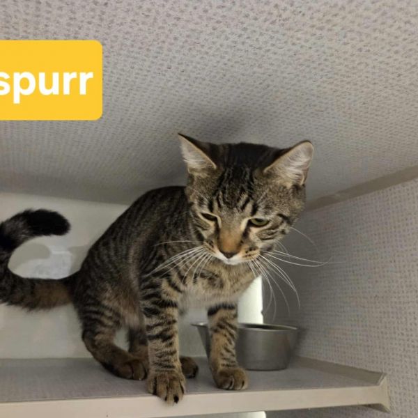 Jaspurr Meet Me At photo 1