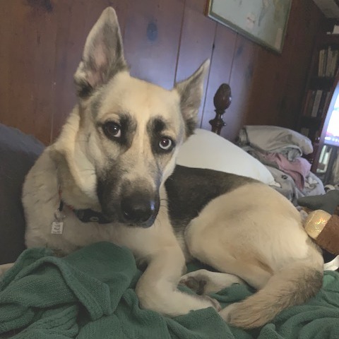 Bonnie