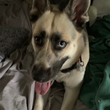 Bonnie