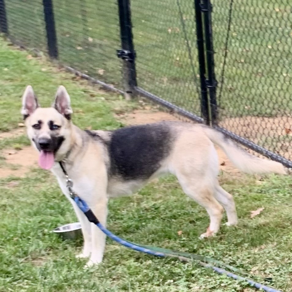 Bonnie