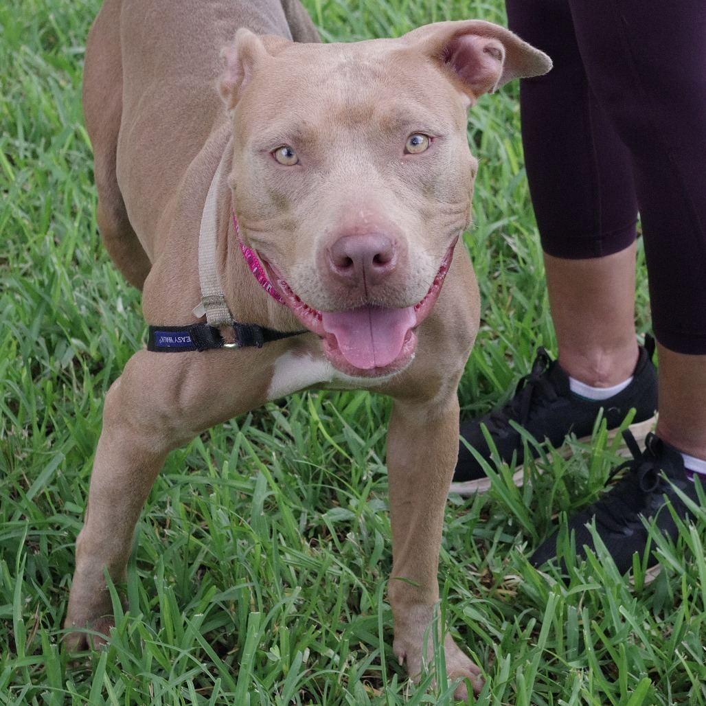 Roxie