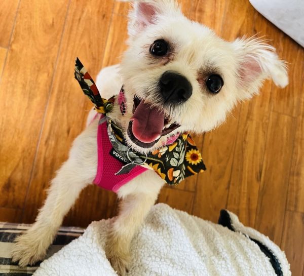 Sweet Cheeks photo 1