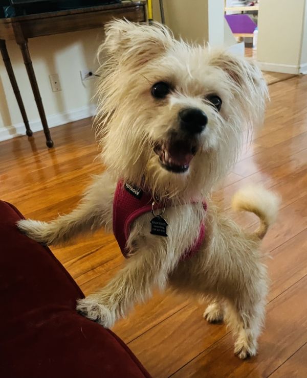 Sweet Cheeks thumbnail 3