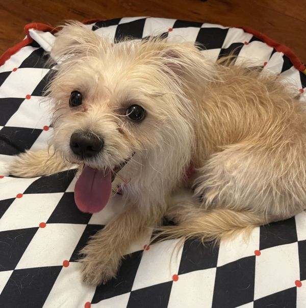 Sweet Cheeks thumbnail 4