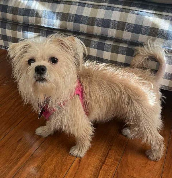 Sweet Cheeks thumbnail 5