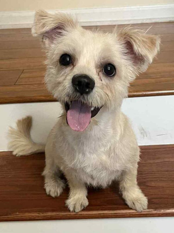 Sweet Cheeks thumbnail 6